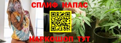 spice Кунгур