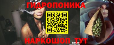 PSILOCYBIN Кулебаки