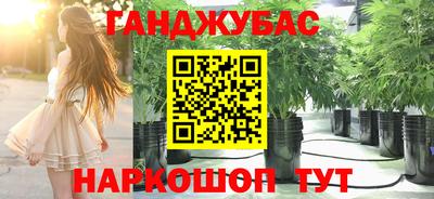 PSILOCYBIN Кулебаки