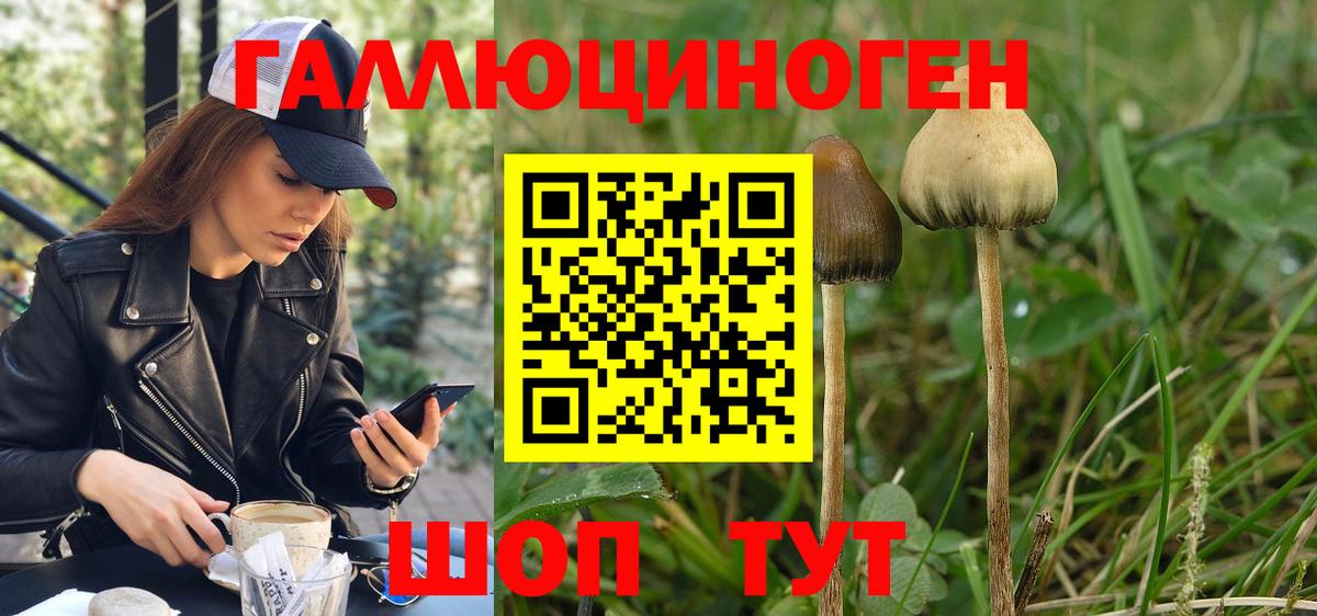 наркотики  Псилоцибиновые грибы Cubensis  Галлюциногенные грибы GOLDEN TEACHER  Вход с VPN  Тихвин 